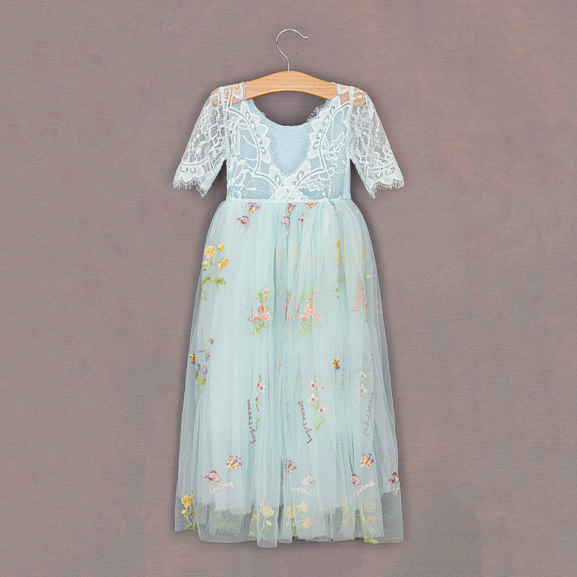Baby Enchanted Dress - Embroidered Sky Blue Lace