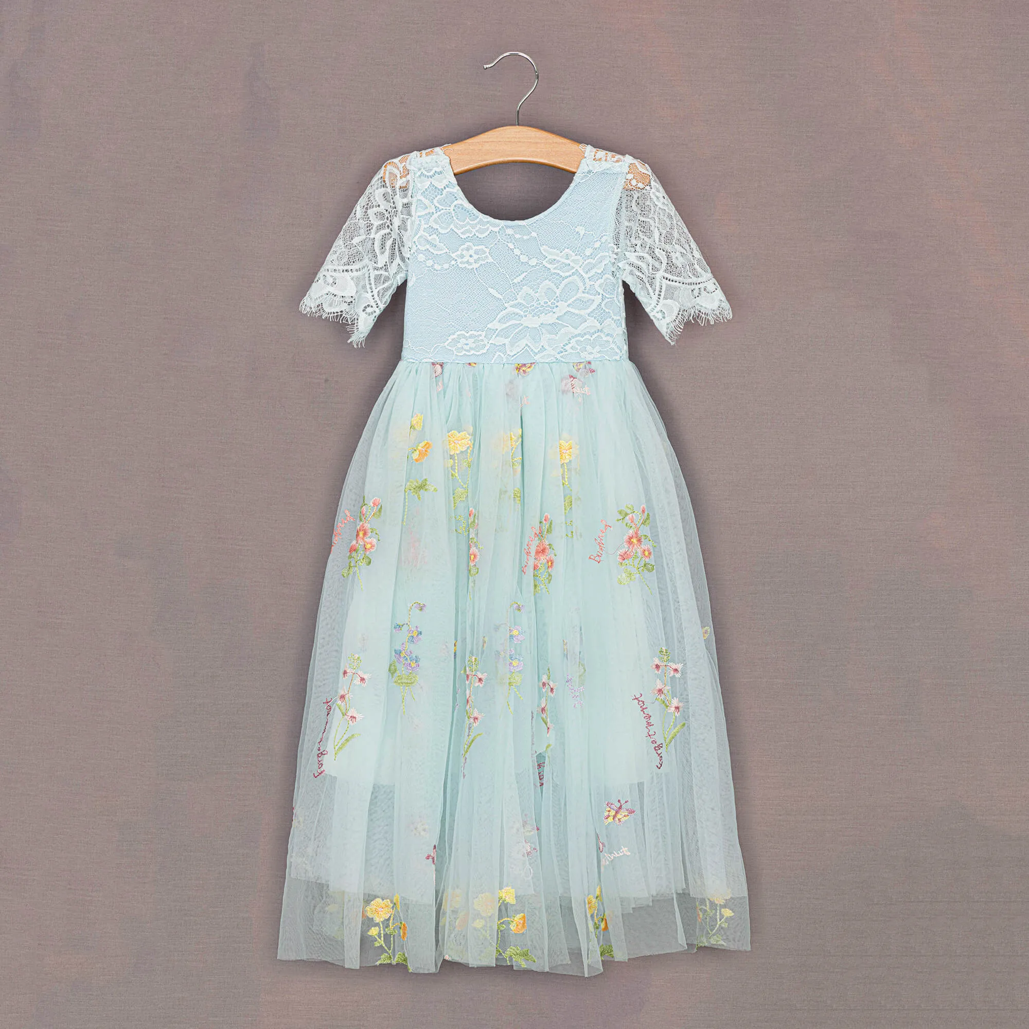 Baby Enchanted Dress - Embroidered Sky Blue Lace