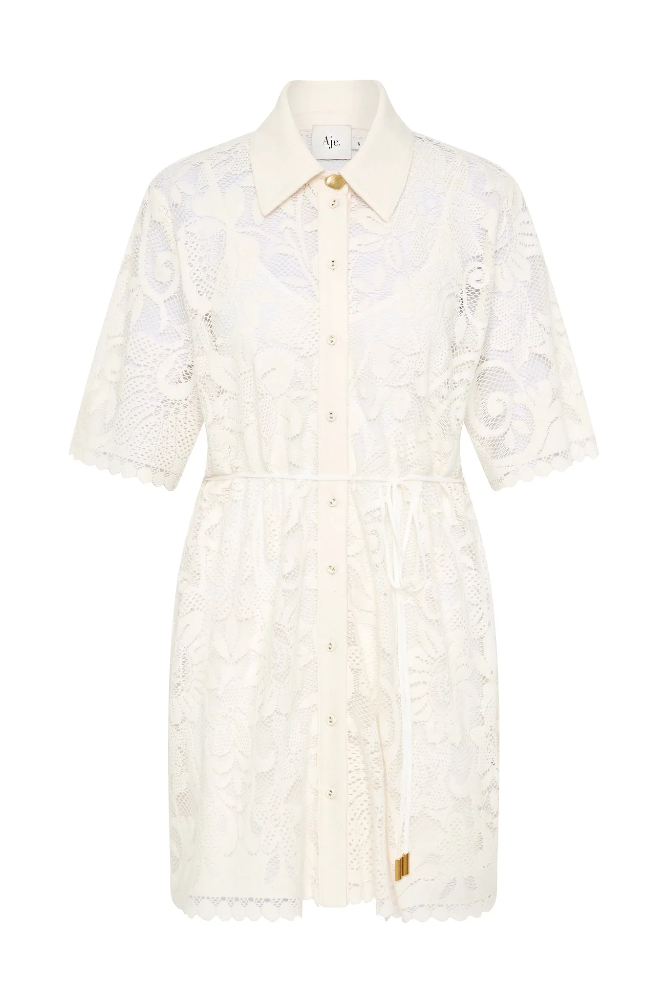 Muses Lace Mini Dress